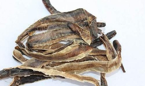 中药中的地龙指的是什么