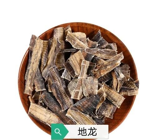 地龙的功能与主治