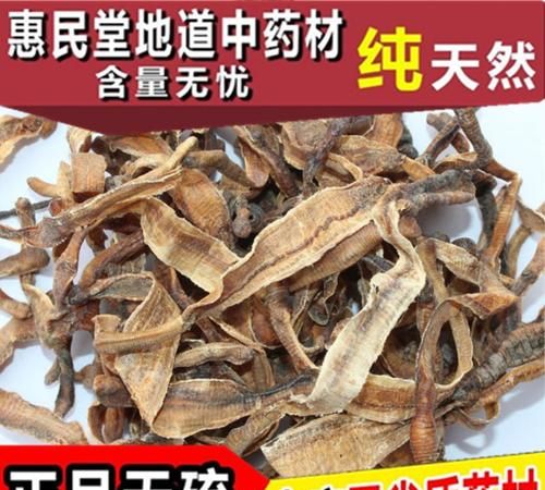 地龙的药用功效与主治