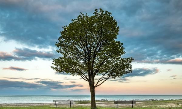 榴莲放冷冻可以放多久,新鲜榴莲冷冻可以保存多久图4