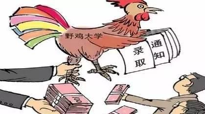 野鸡大学是什么意思野鸡大学为什么不取缔