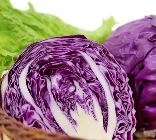 紫甘蓝为什么是紫色