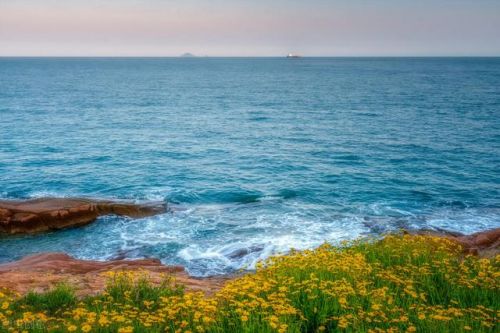 海子的诗歌风格和特色(海子的诗歌作品)-第2张图片-