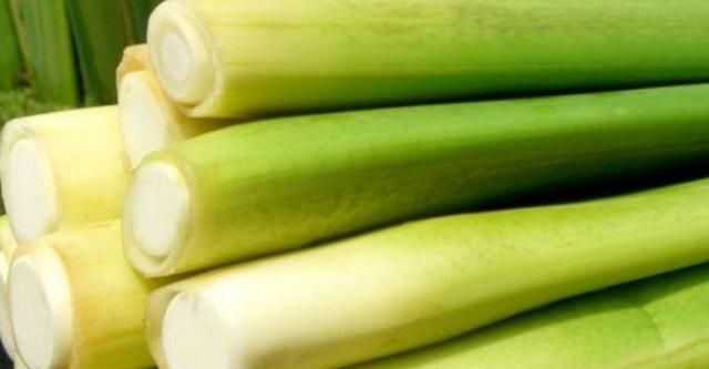 茭白发绿了还能吃吗,茭白的叶子可以剪掉吗?图2