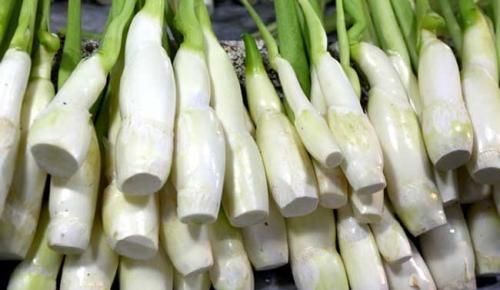 茭白发绿了还能吃吗,茭白的叶子可以剪掉吗?图9