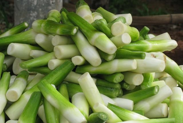 茭白发绿了还能吃吗,茭白的叶子可以剪掉吗?图10