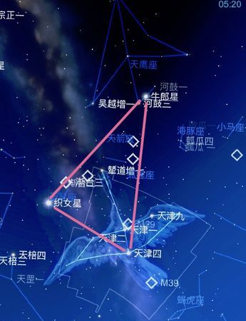 牛郎星位于哪一个星座