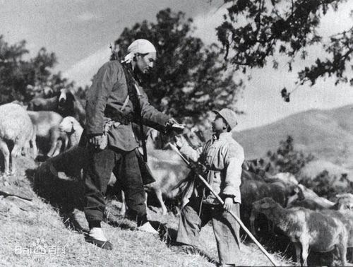 儿童教育片有哪些(中国儿童教育片)-第1张图片-