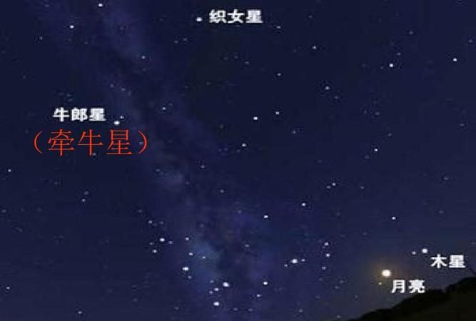 牛郎织女是属于什么星座