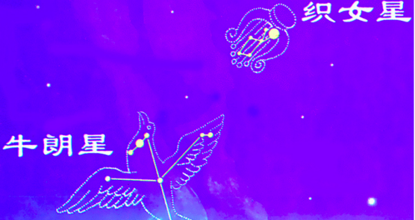 牛郎星是哪个星座,牛郎星属于什么星座?图2