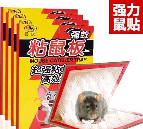 粘鼠板的胶怎么才能洗掉