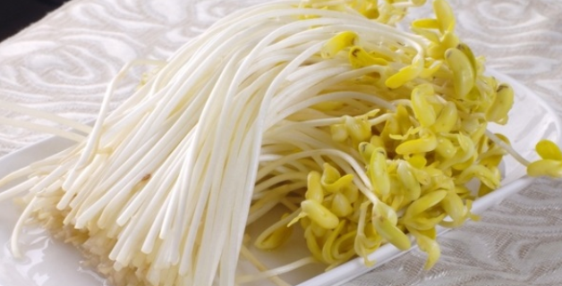 豆芽发绿了还能不能吃了