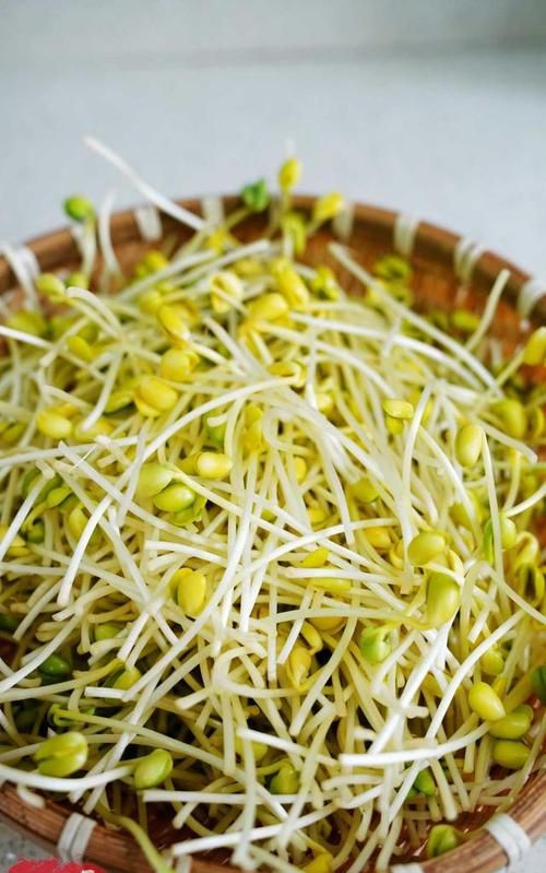 变绿的豆芽能吃吗