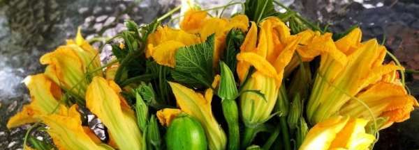 倭瓜花的做法,南瓜花的做法图2