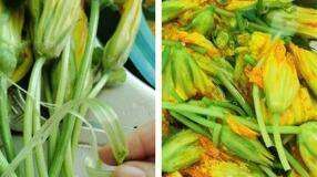 倭瓜花的做法,南瓜花的做法图7