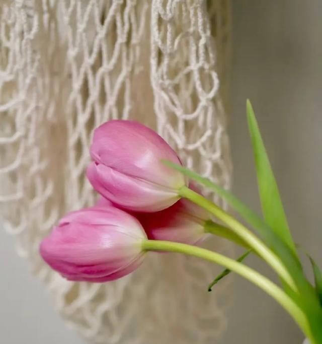 春天在哪里,春天在哪里舞蹈图12