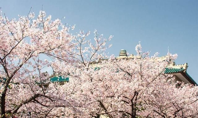 春天在哪里,春天在哪里舞蹈图3