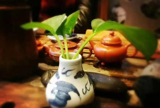 春天在哪里,春天在哪里舞蹈图13