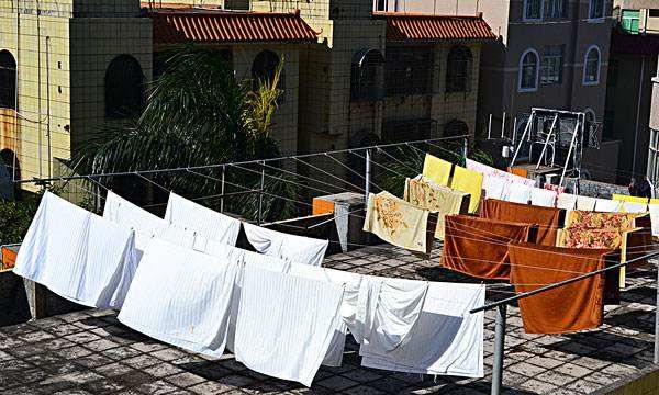 夏天床上为什么会有小虫子,床上经常有小虫是什么原因呢?图4