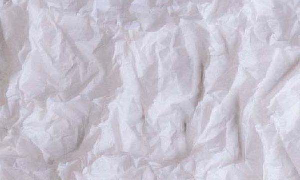 夏天床上为什么会有小虫子,床上经常有小虫是什么原因呢?图6