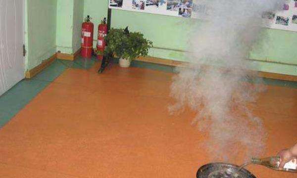 夏天床上为什么会有小虫子,床上经常有小虫是什么原因呢?图5