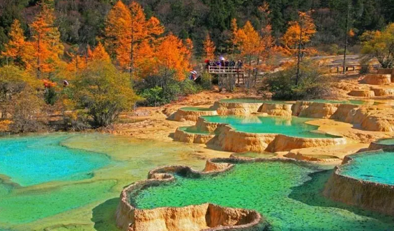 四川大草原有哪些地方,中国最大最美的草原在哪里图5