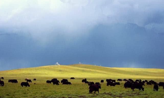川南大草原门票价格及优惠