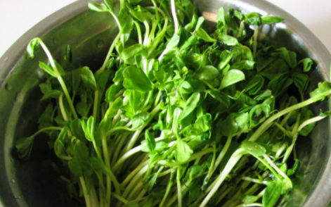 豌豆尖怎么做好吃,云南豌豆尖怎么做好吃图9