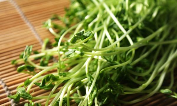 豌豆尖怎么做好吃,云南豌豆尖怎么做好吃图5