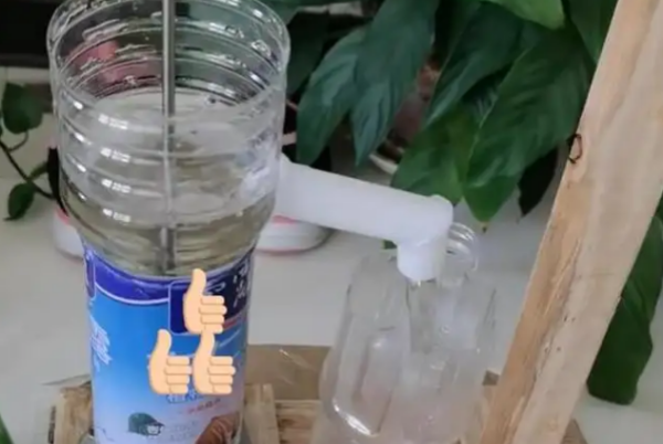 实力宠娃是什么意思,实力宠姐什么意思图5