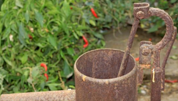 实力宠娃是什么意思,实力宠姐什么意思图6