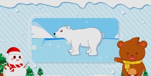 为什么北极熊不怕冷