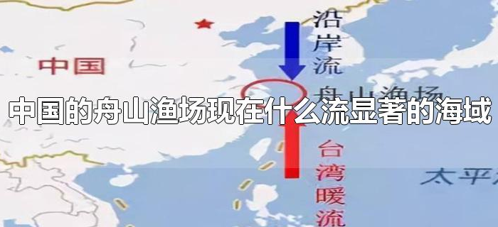 中国的舟山渔场现在什么流显著的海域