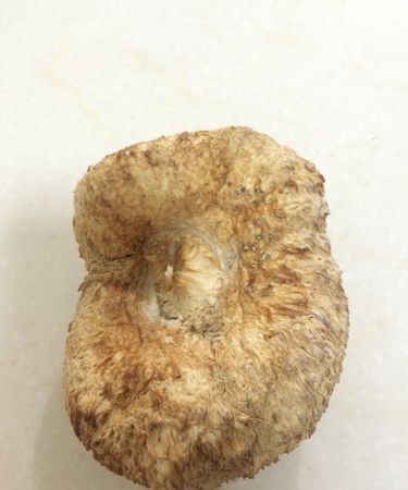 干猴头菇泡发变红色还能吃吗