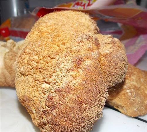 鲜猴头菇发霉了能吃吗