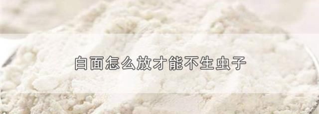 白面里面有白虫子还能吃吗