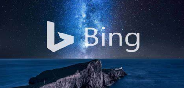 Bing是什么意思,bking是什么意思图1