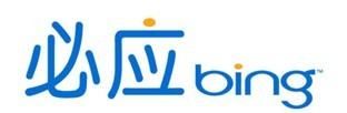 Bing是什么意思,bking是什么意思图2