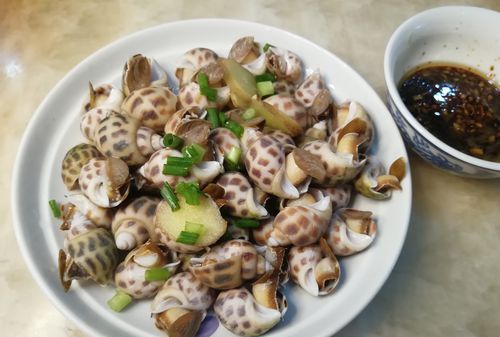 煮花螺是冷水还是热水下锅