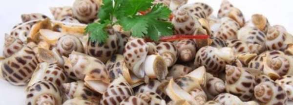 白灼花螺冷水还是热水煮,白灼花螺冷水还是热水煮图3