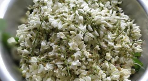 新鲜槐花怎样保存最好求帮助