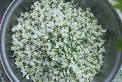 没有冰箱槐花怎么保存