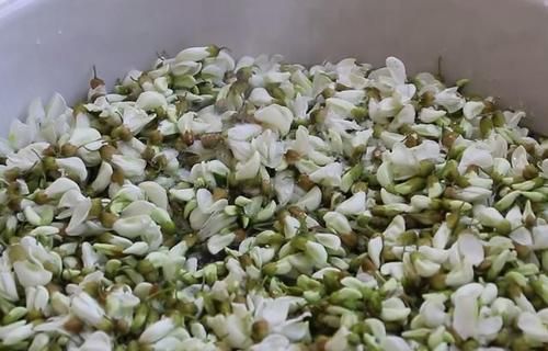 槐米怎样保存最久