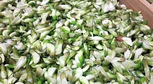 槐米怎么保存方法