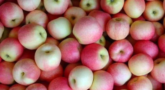 苹果属于什么水果,哪个产地的苹果比较好吃,为什么?图7