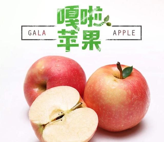 苹果属于什么水果,哪个产地的苹果比较好吃,为什么?图4