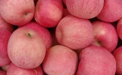 苹果属于什么水果,哪个产地的苹果比较好吃,为什么?图6