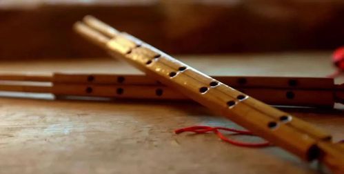 羌笛何须怨杨柳,春风不度玉门关羌怎么读