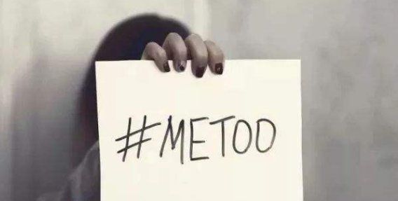 metoo是什么意思,metoo的翻译是:什么意思图3