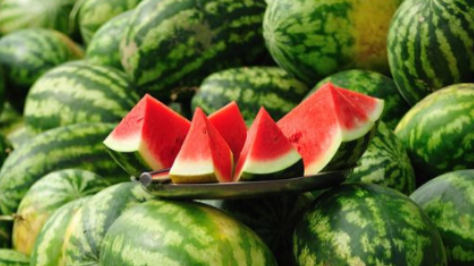 西瓜水分比例,西瓜含有多少水分 0.7还是0.92图4
